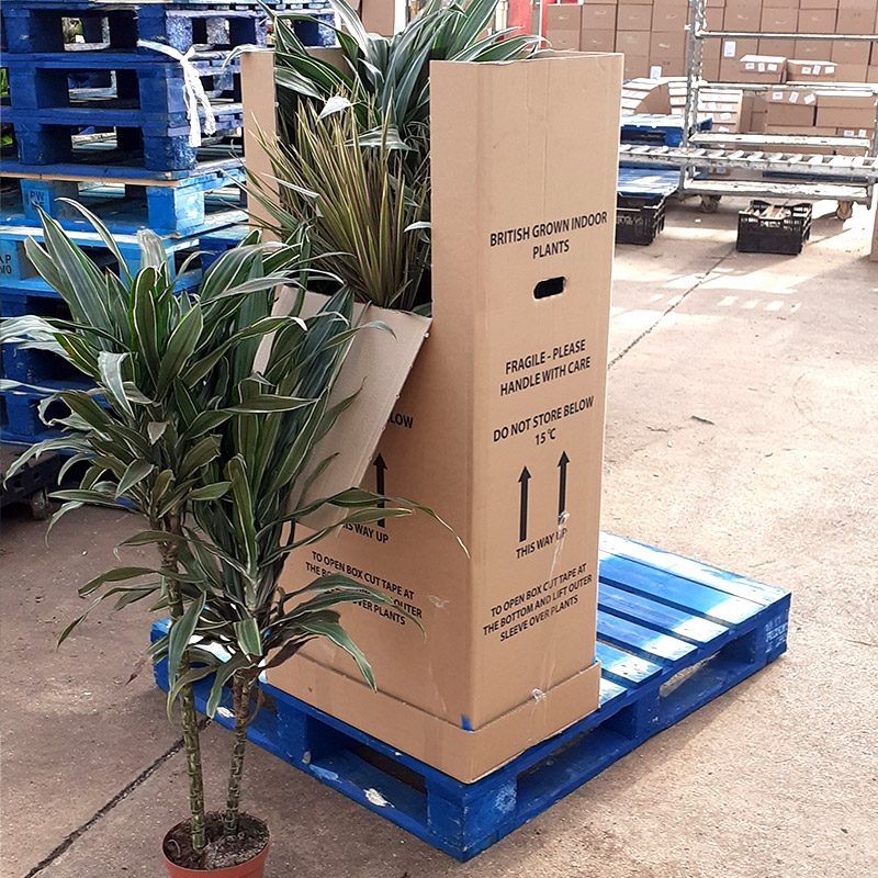 Plant Packaging